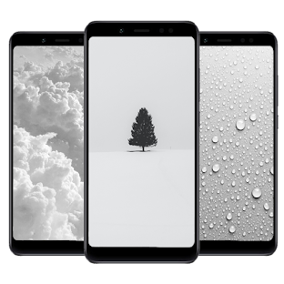 White Wallpaper HD I